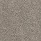 Dixie Home Bella Carpet in Greyhound, , large