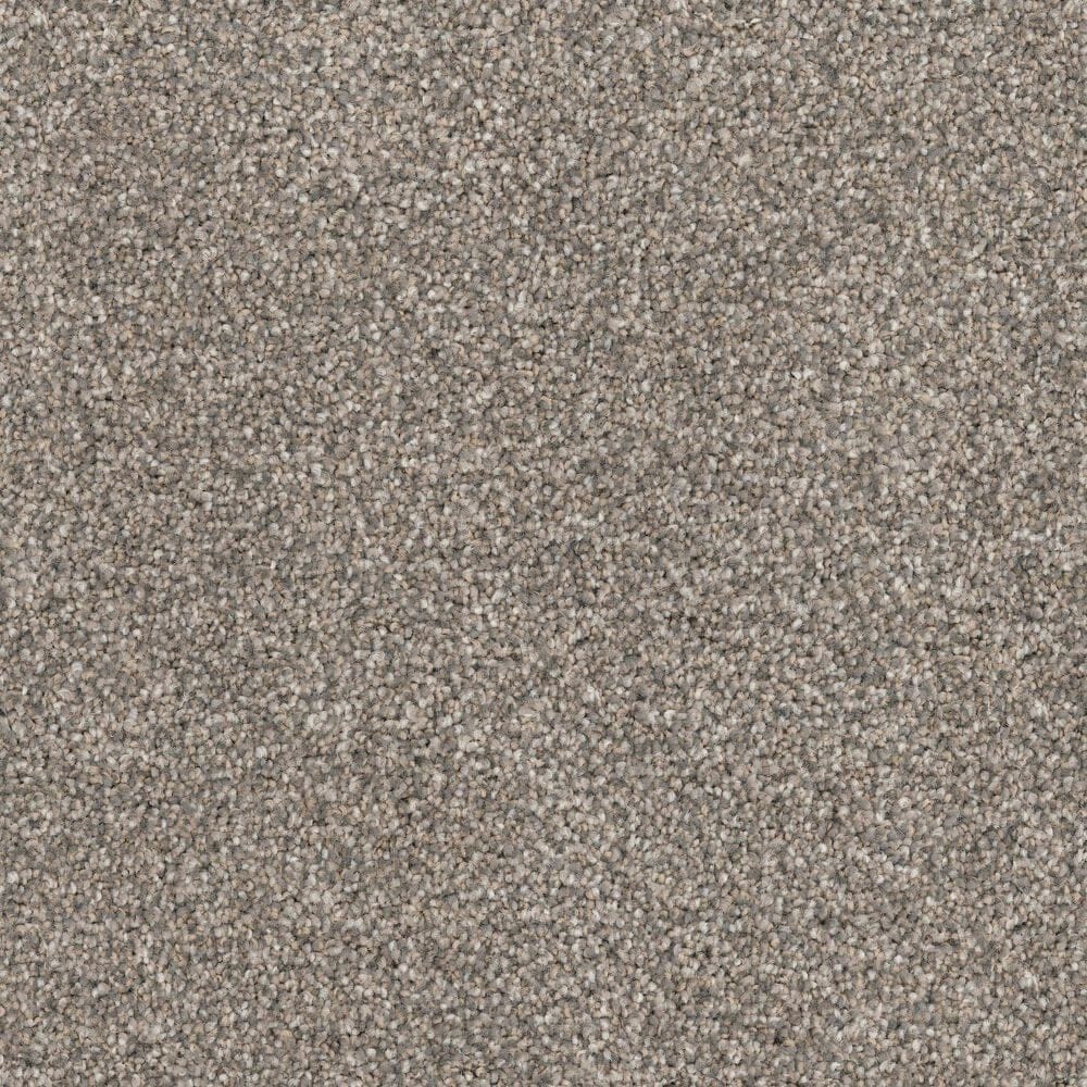 Dixie Home Bella Carpet in Greyhound, , large