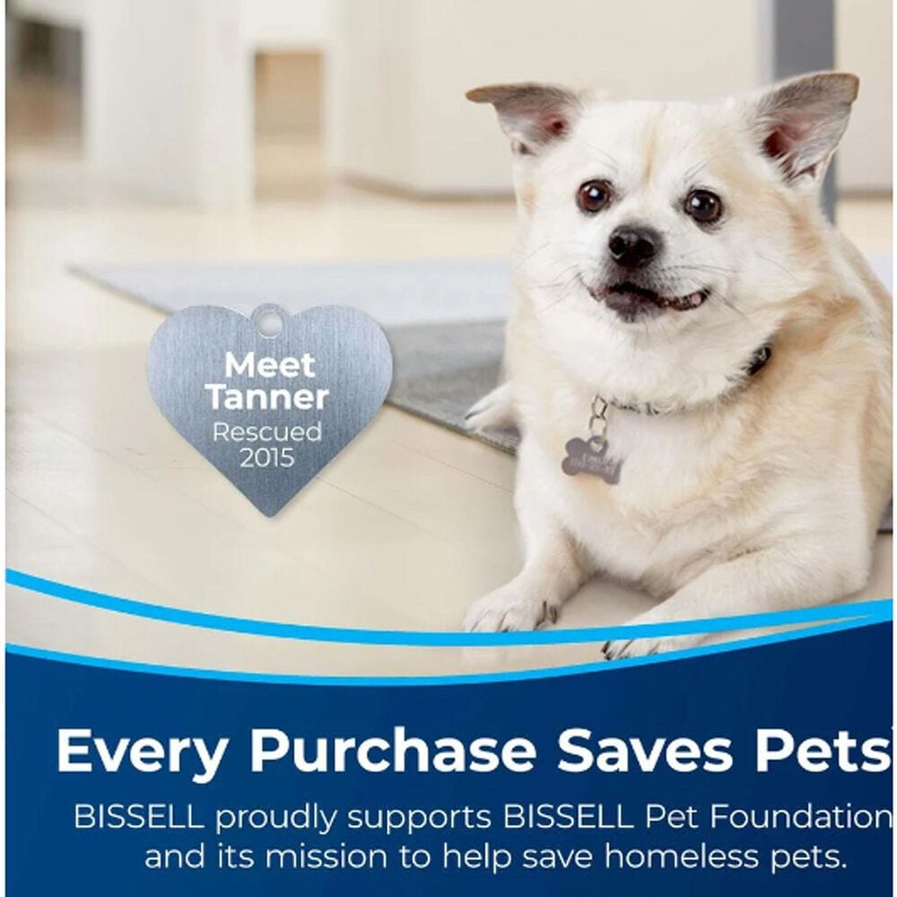 Bissell Pet Stain Eraser Plus Carpet Cleaner in Black and Electric Green, , large