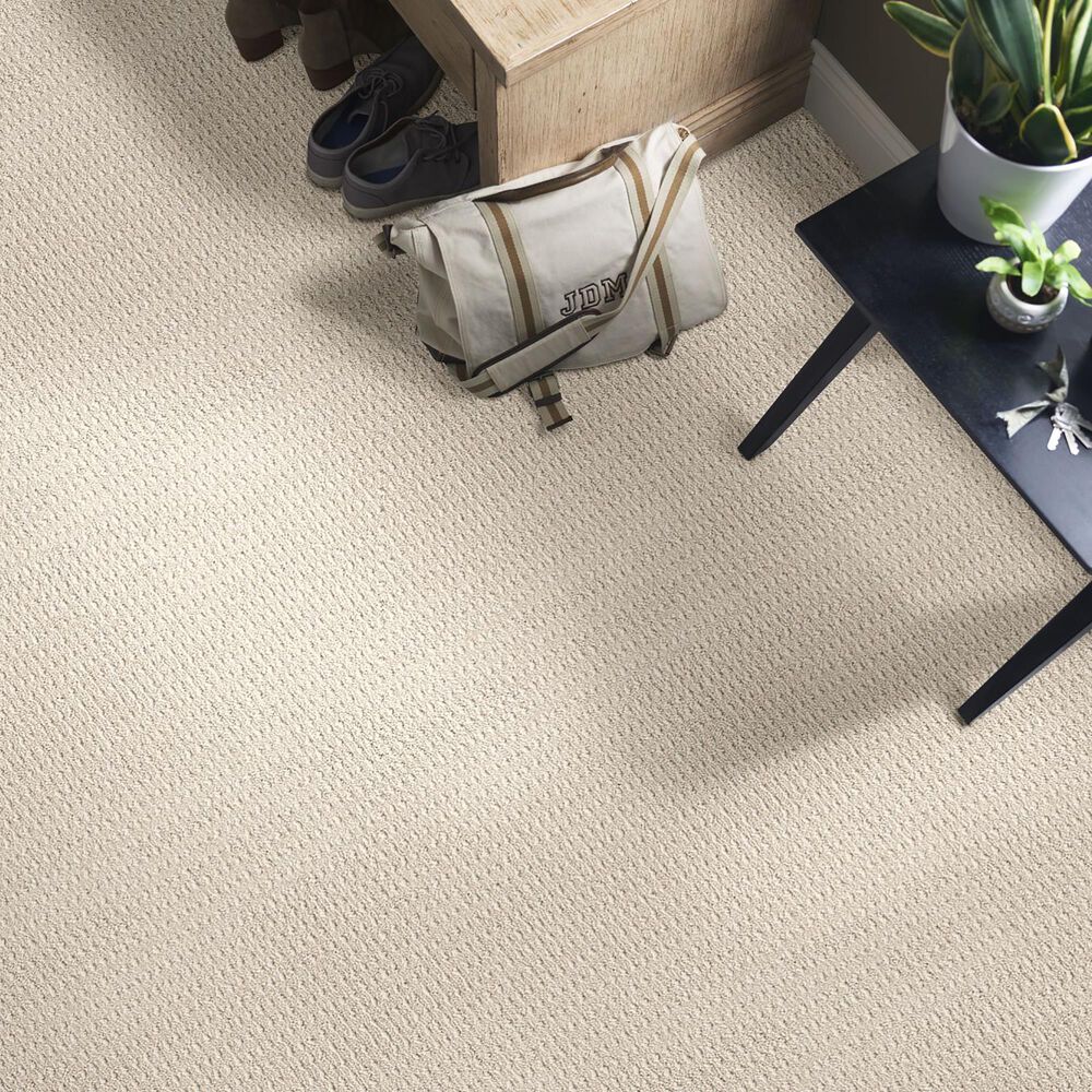 Anderson Tuftex Truly Delightful Carpet in Blank Canvas, , large