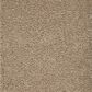 Mohawk Dahlia Harbor Carpet in Tudor Brown, , large