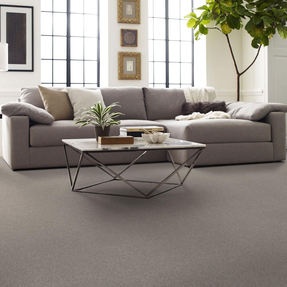 Shaw Comforting I Carpet in Anonymous, , large