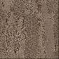 Anderson Tuftex Trace Carpet in Boardwalk, , large