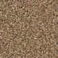 Anderson Tuftex Fabulous Carpet in Toasty, , large