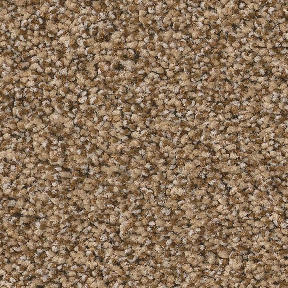 Anderson Tuftex Fabulous Carpet in Toasty, , large