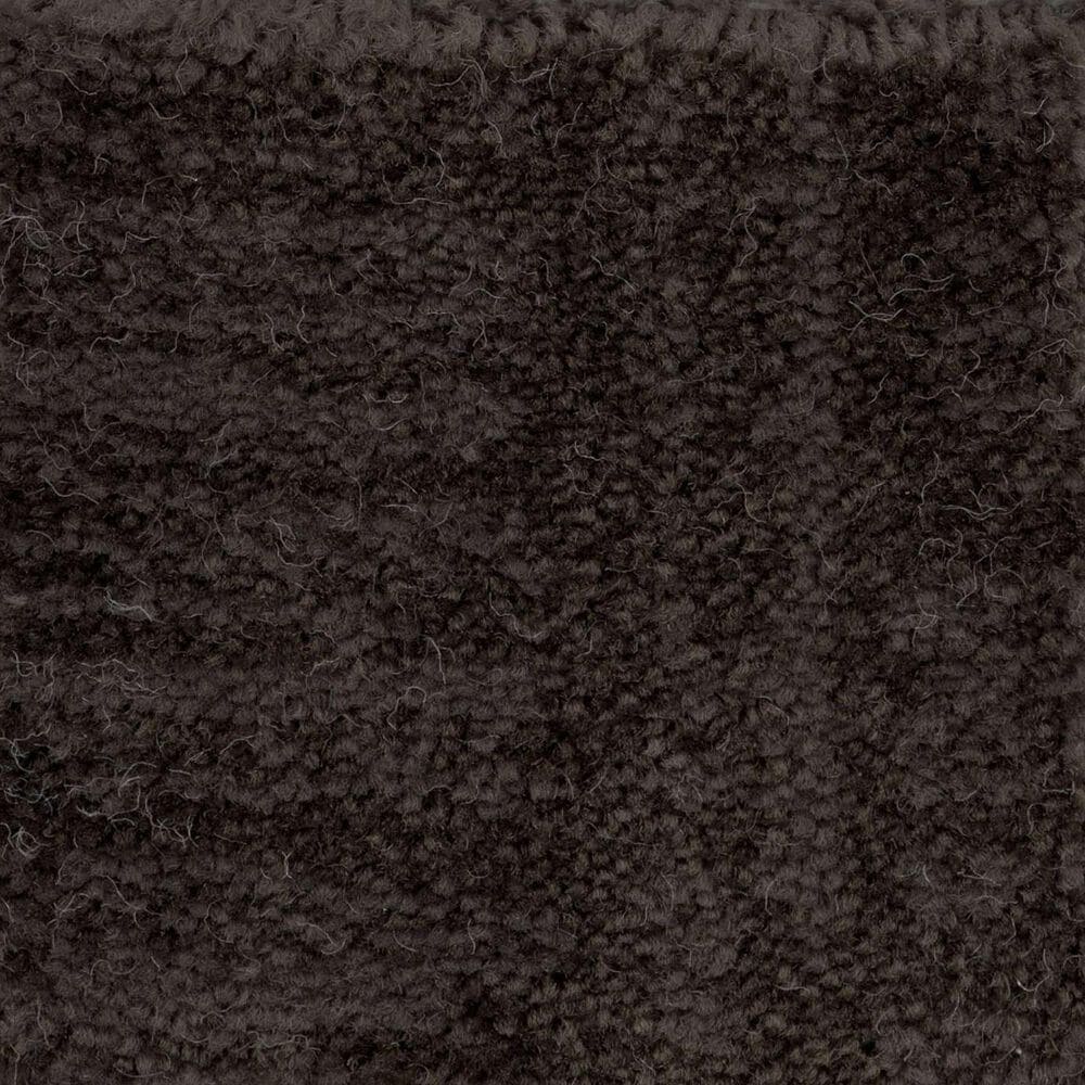 Anderson Tuftex Insightful Journey Carpet in Burma Brown, , large