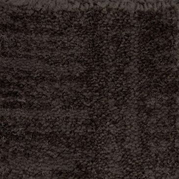 Anderson Tuftex Insightful Journey Carpet in Burma Brown, , large