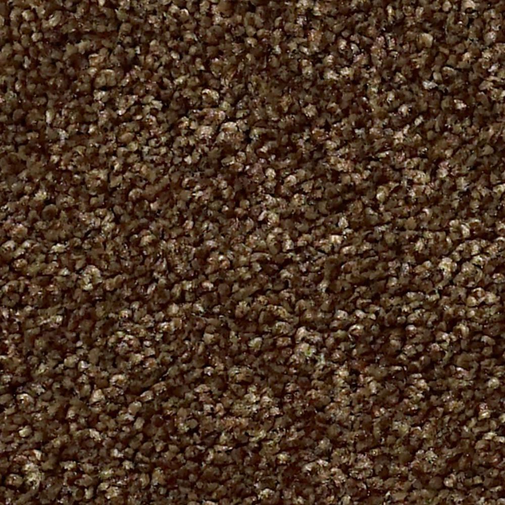 Shaw Find Your Comfort NS Blue Carpet in Chocolate Treat, , large
