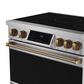 Thor Kitchen Gordon Ramsay 6.0 Cu. Ft. Professional Induction Range with Bronze Color Kit Assembly in Stainless Steel, , large