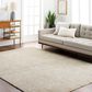 Surya Masterpiece MPC-2315 Medium Gray, Light Gray and Cream 12" x 15" Area Rug, , large