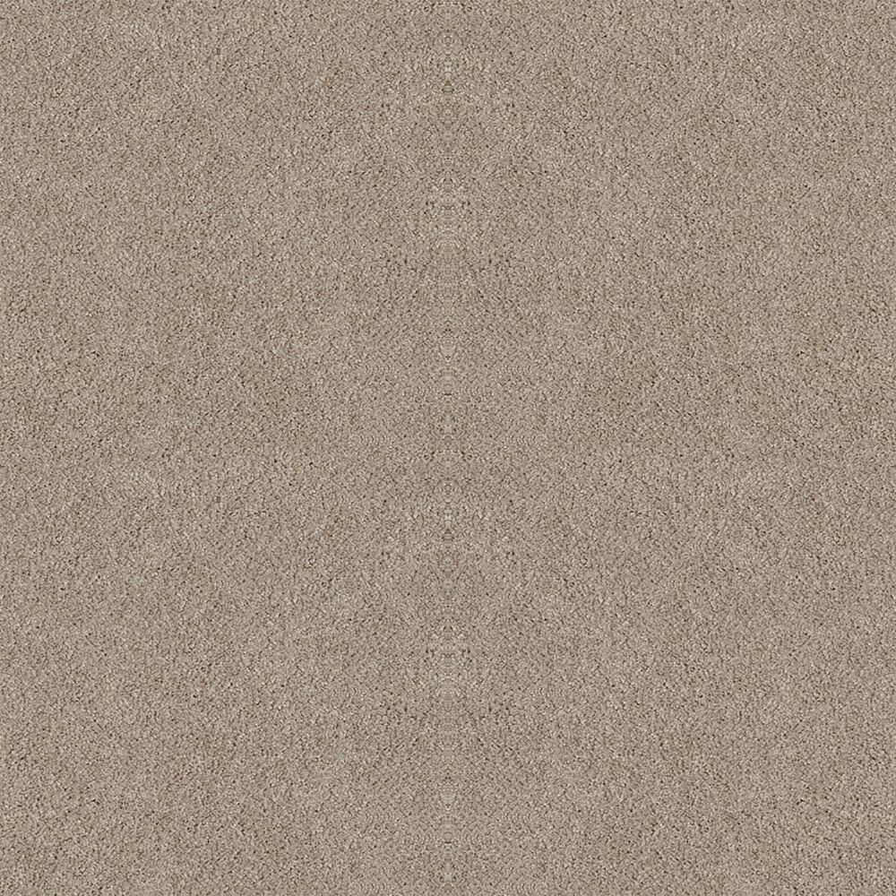 Dixie Home Winding Creek Premier Carpet in Neutral Ground, , large