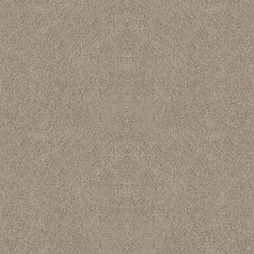Dixie Home Winding Creek Premier Carpet in Neutral Ground, , large