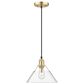 Golden Lighting Orwell 1-Light Medium Pendant with Clear Glass Shade in Brushed Champagne Bronze, , large
