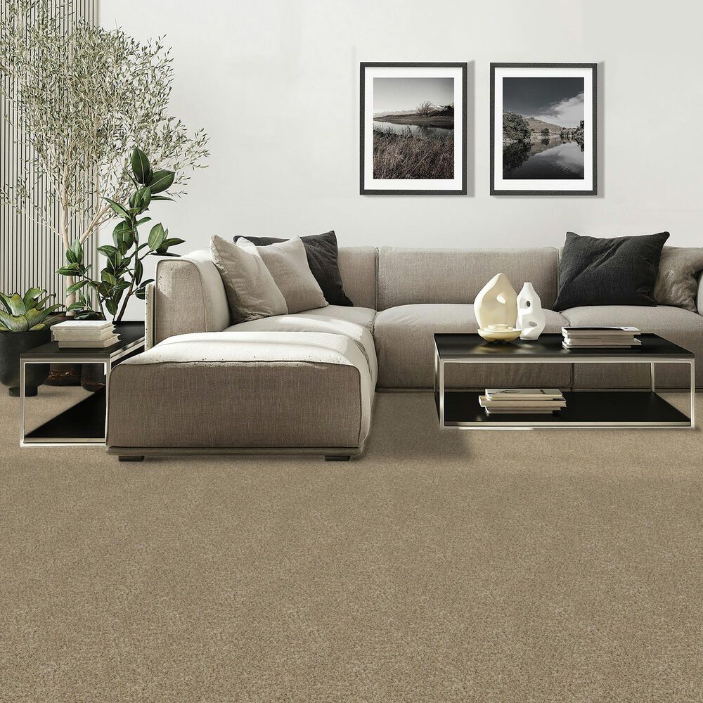 Mohawk Diffurent Choice III Carpet in Bisque, , large