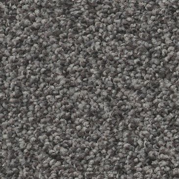 Shaw Tonal Comfort Ii Carpet in Power Suit, , large