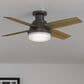 Hunter Dempsey Low Profile 44" Ceiling Fan with Lights in Noble Bronze, , large
