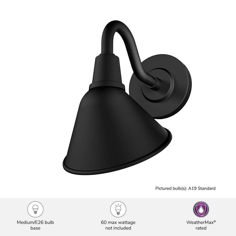 Hunter Cassius 1-Light Outdoor Small Wall Light in Matte Black, , large