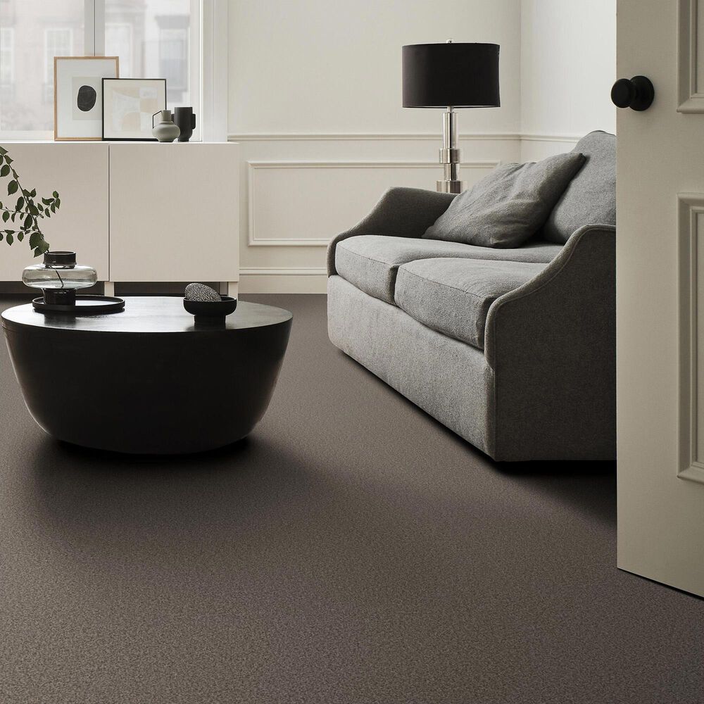 Anderson Tuftex Fabulous Carpet in Ottertail, , large