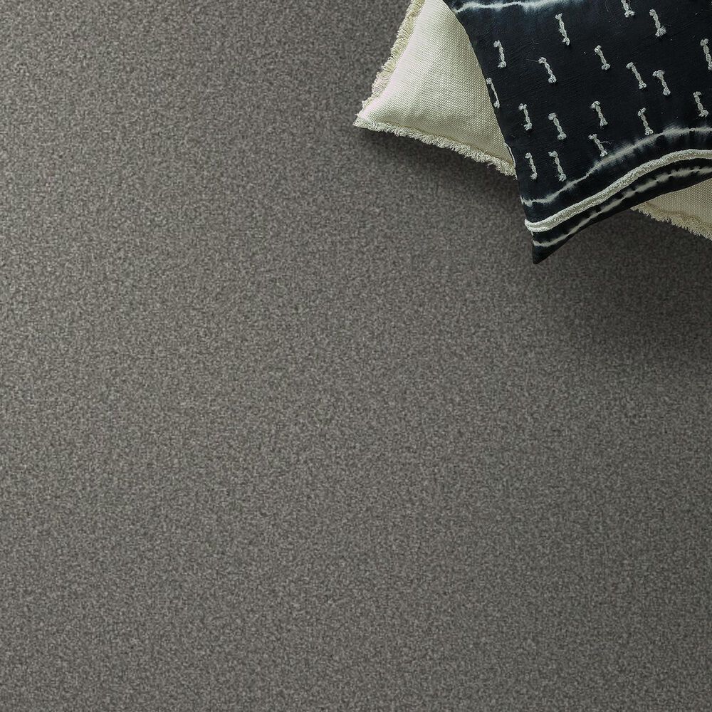 Shaw Tweed Comfort II Carpet in First Class, , large