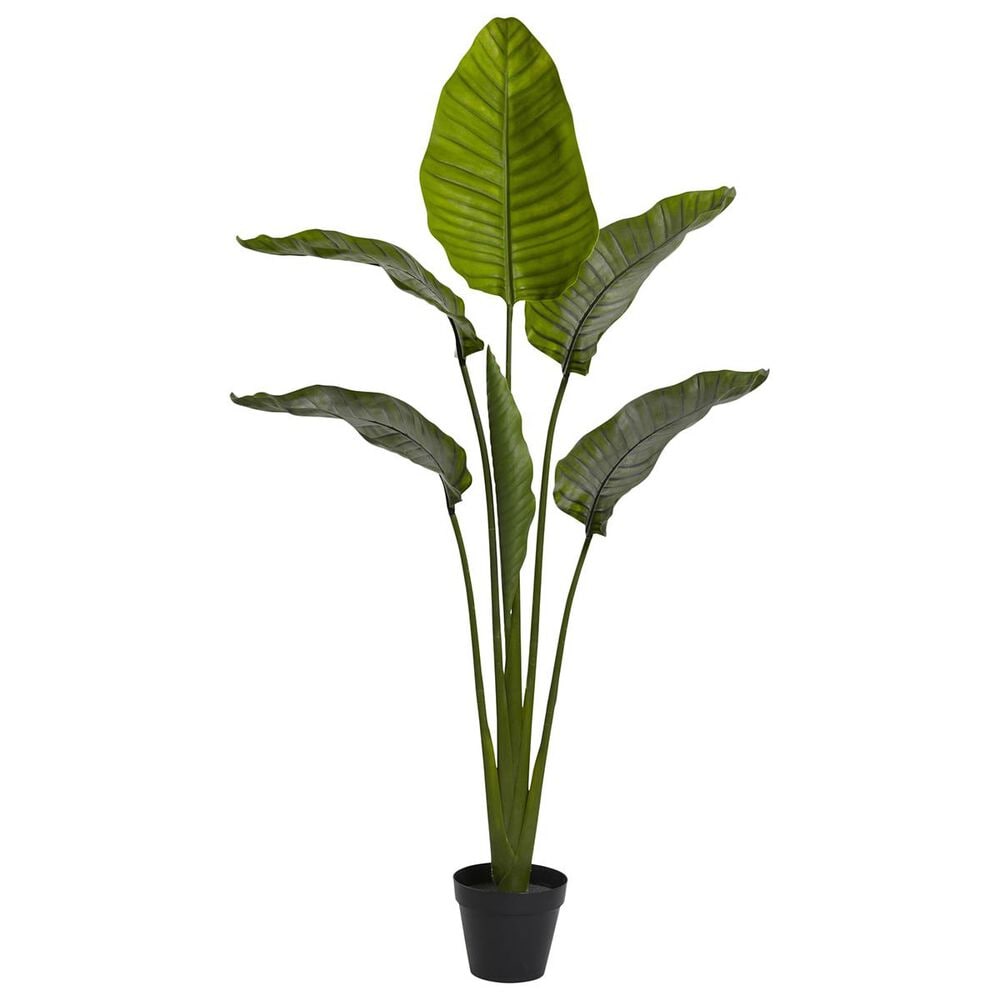 37B 63" Travelers Palm Tree, , large