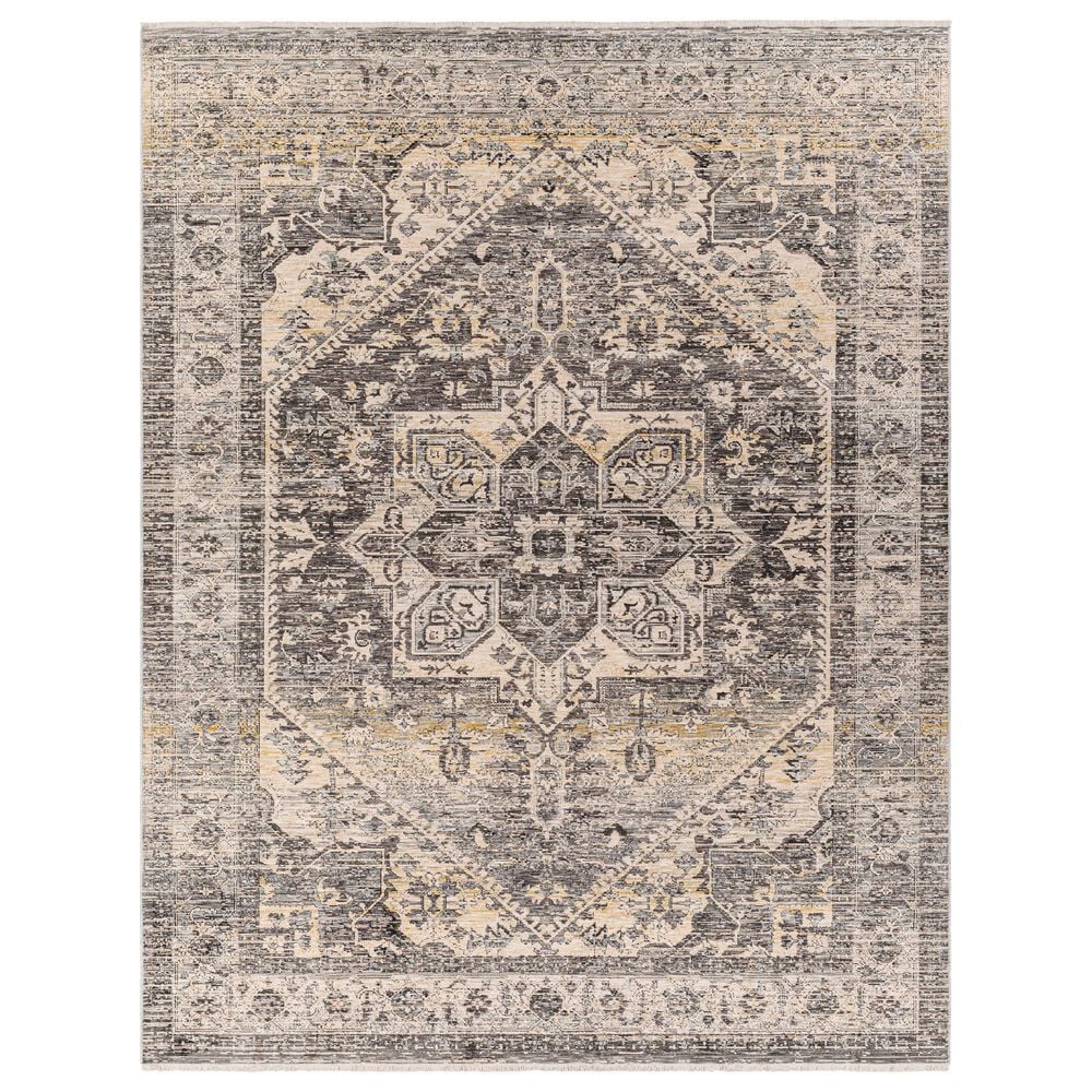 Surya Chicago CHG2316 6"7" Round Light Beige, Charcoal, Slate, Black, Blue,Taupe Area Rug, , large