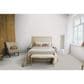 Dixie Home Summer Haven Carpet in Fleck, , large