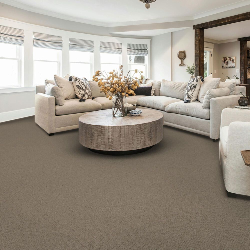 Karastan Infinite Treasure Carpet in Coachman, , large