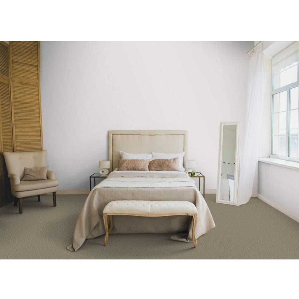 Dixie Home Main Force Carpet in Quarry, , large
