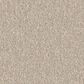 Shaw Awaken Spirit II 12" Carpet in Cloud, , large