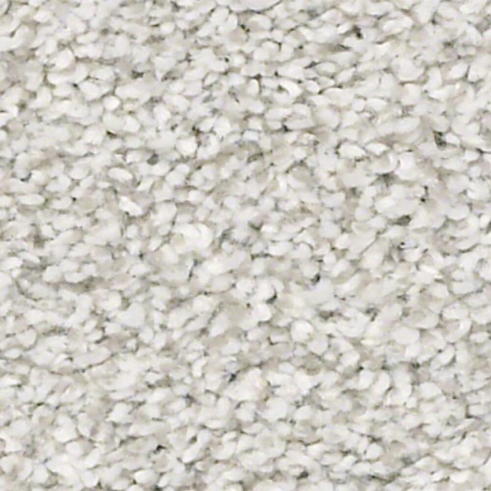 Shaw Just A Hint II Carpet in Nickel, , large