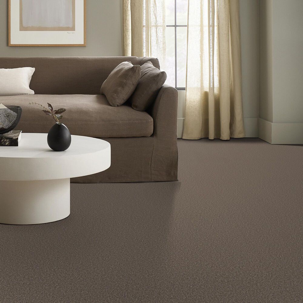 Shaw Tweed Comfort I Carpet in Gathering, , large