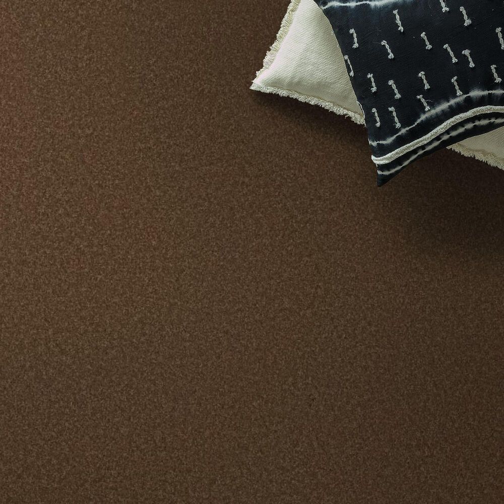Anderson Tuftex Enduring Charm Carpet in Bronco, , large
