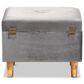 Baxton Studio Elias Storage Ottoman in Grey, , large