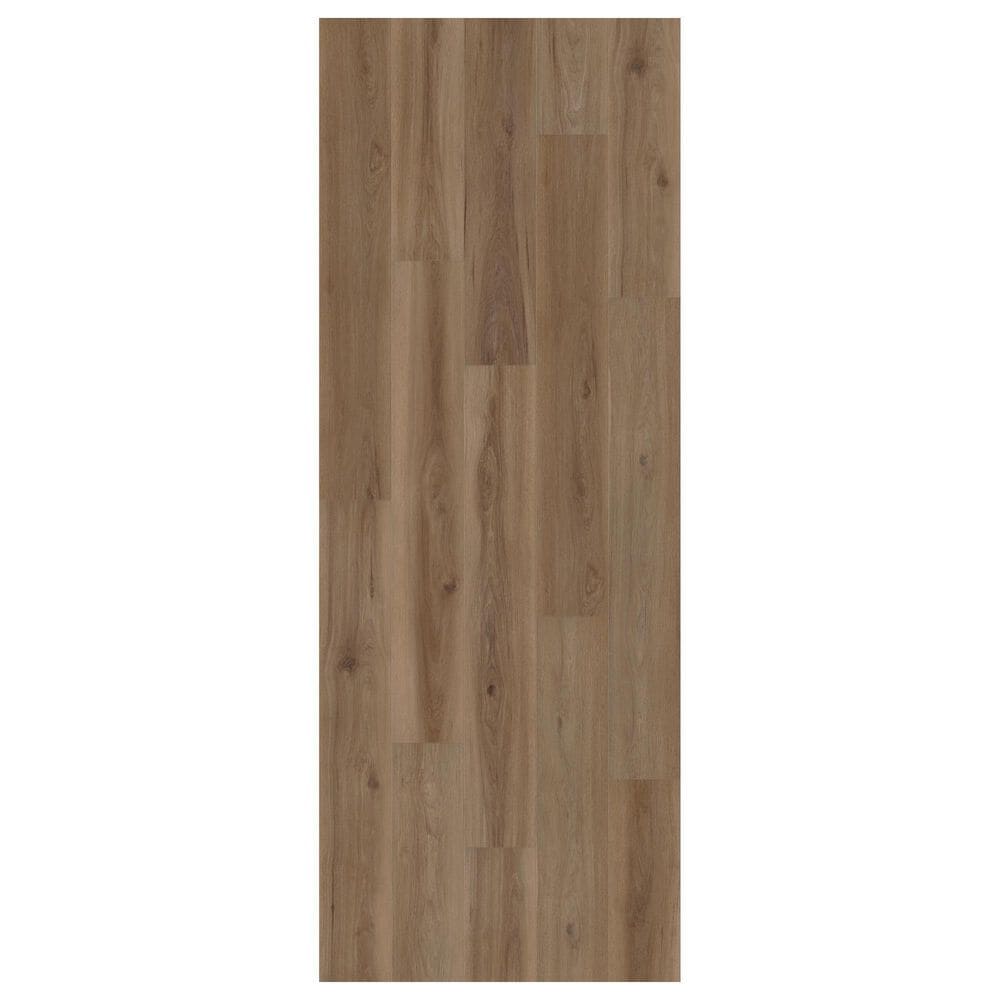 Shaw Fresh Take Windsor Brown 9&quot; x 59&quot; Luxury Vinyl Plank, , large