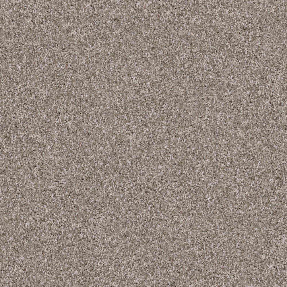 Dixie Home Trapper Carpet in Yorkie, , large