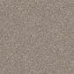 Dixie Home Trapper Carpet in Yorkie, , large