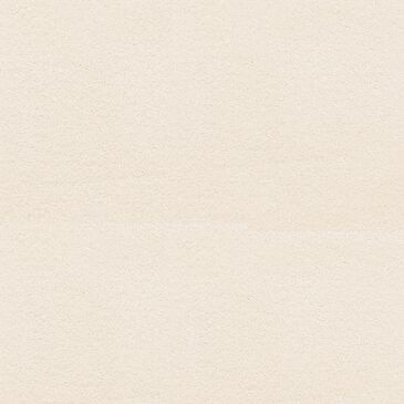 Dixie Home Neverland Carpet in Satin, , large