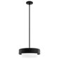 Hunter Station 2-Light Pendant in Natural Iron, , large