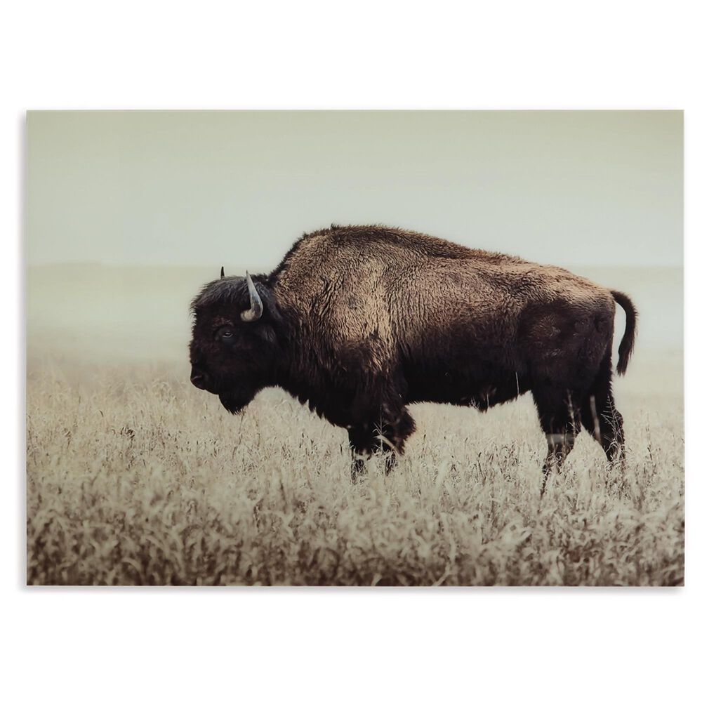 Ashley Brutus 36&quot; x 48&quot; The Bison Wall Art in Sepia, , large