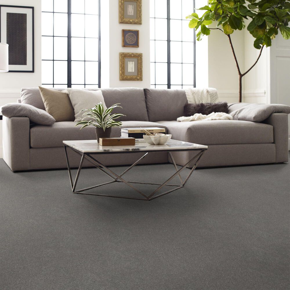 Shaw Hard At Play I Carpet in Vintage, , large