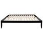 Linden Boulevard Polly King Platform Bed without Headboard in Black, , large