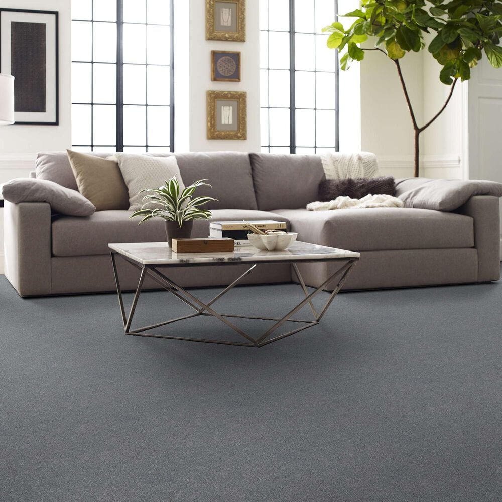 Shaw Your Comfort I Carpet in Dolphin Sighting, , large