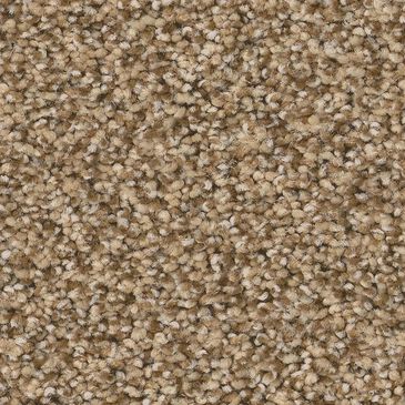 Anderson Tuftex Wyndham Estate Carpet in Powdered Gold, , large