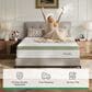Novilla Grove 14" Medium Hybrid King Mattress in a Box, , large