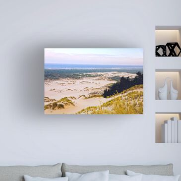 Timberlake Mich Cantanzaro "Oregon Dunes" 12" x 19" Canvas Art, , large