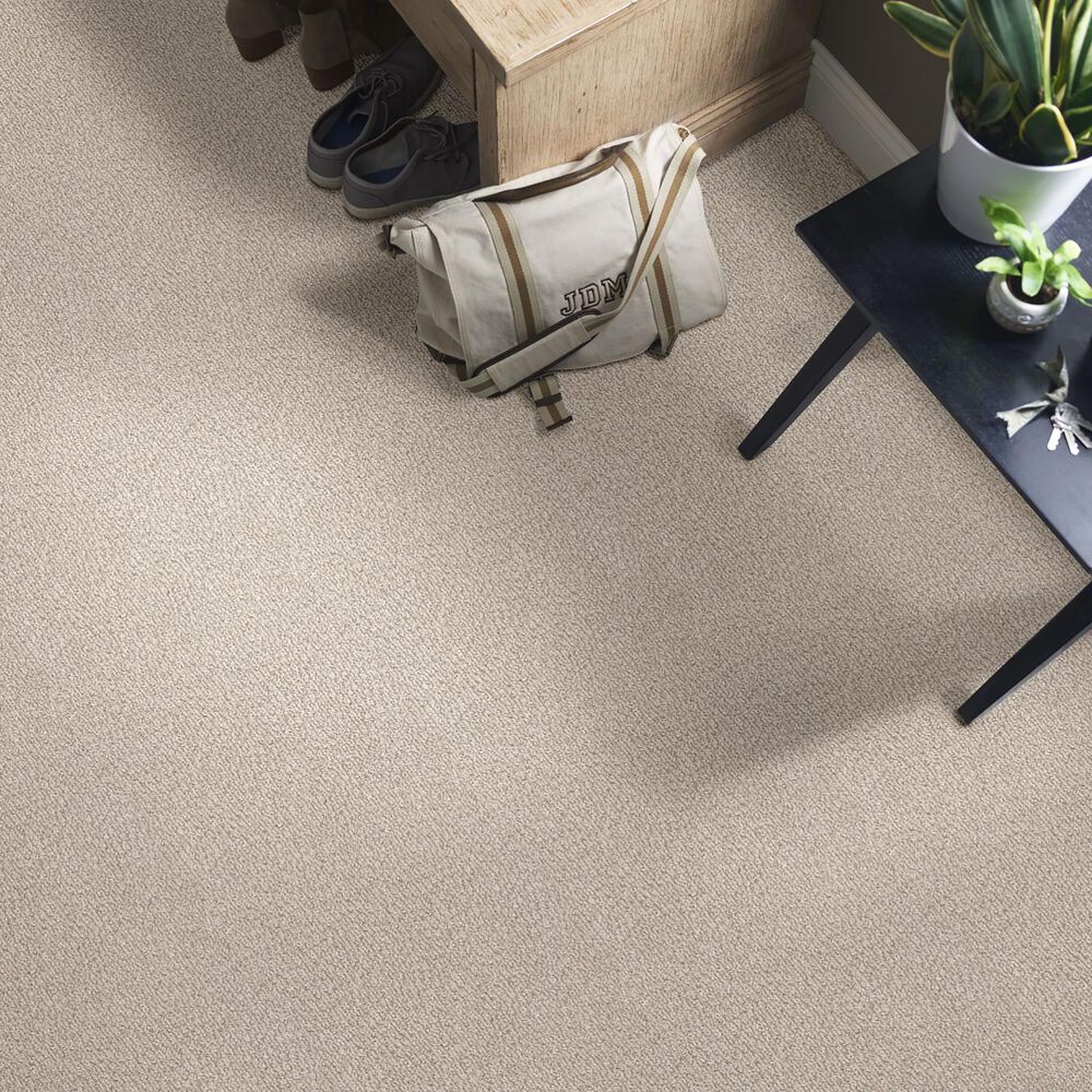 Anderson Tuftex Fur-Ever Carpet in Cedar, , large
