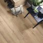 Shaw Paladin Plus Marina 7" x 48" Vinyl Plank, , large