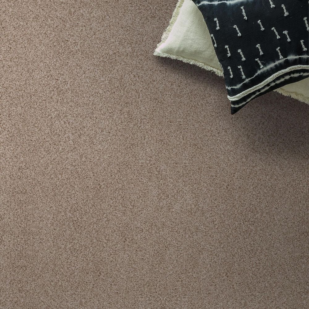 Anderson Tuftex Sumptuous II Carpet in Toasted Grain, , large