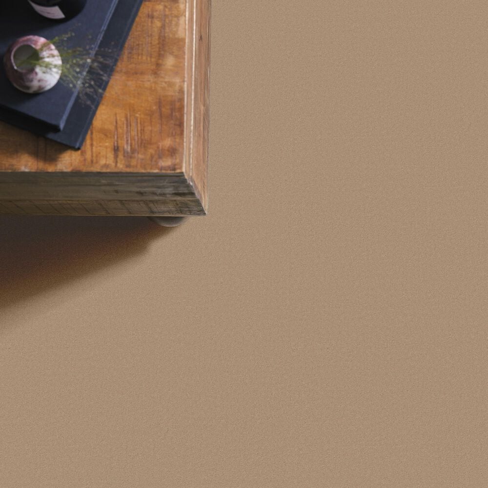 Anderson Tuftex Finery Carpet in Cork, , large