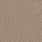 Dream Weaver Downtown Carpet in Mocha, , large